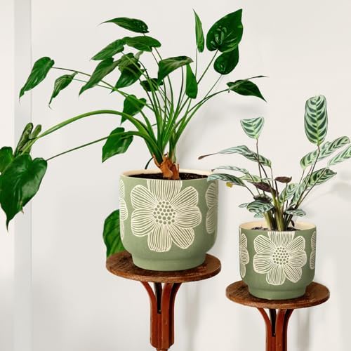 Ceramic Plant Pots, 8+6 Inch, 2 Pcs Indoor Planters with Drainage Holes
