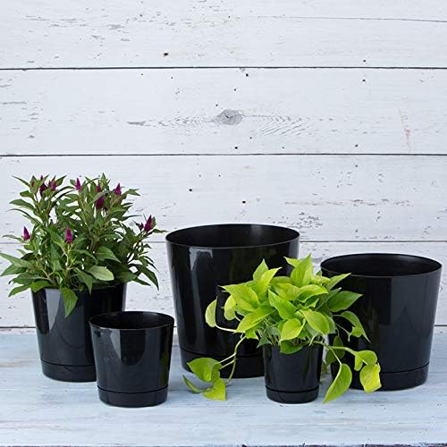Novelty Majestic Full Depth Round Cylinder Pot, Glossy Black, 12-Inch (10128)