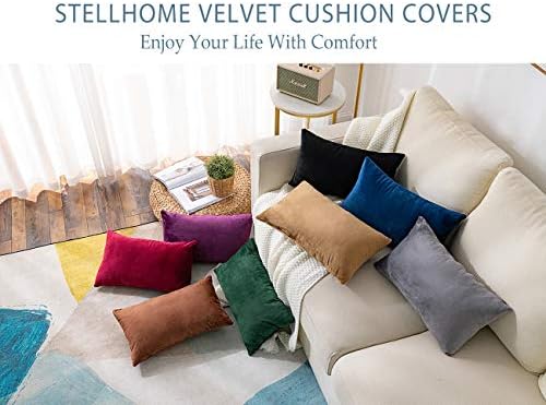 Stellhome Set of 2 Rectangle Throw Pillow Covers Super Soft Solid Velvet Pillowcase for Bed Couch Sofa Bench, 12 x 20 inch (30 x 50 cm), Black