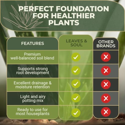 Professional Aloe Plant Soil Mix 2.2 Qt Potting Soil for Aloe Vera Plants
