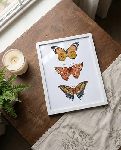 Prints Made Perfect Orange Butterfly Wall Art – Watercolor Butterfly Print – Botanical Insect Nature Decor – Cottagecore Bedroom Wall Decor – 11x14 Unframed Linen Paper