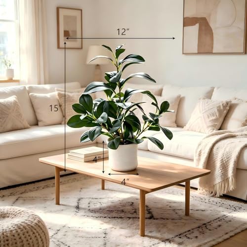 AlphaAcc 16“Artificial Ficus Plant, Faux Plant Home Kitchen Bathroom Decor