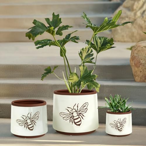 Terracotta Pots, 8+6+4 Inch Plant Pots, 3 Pcs with Drainage Holes