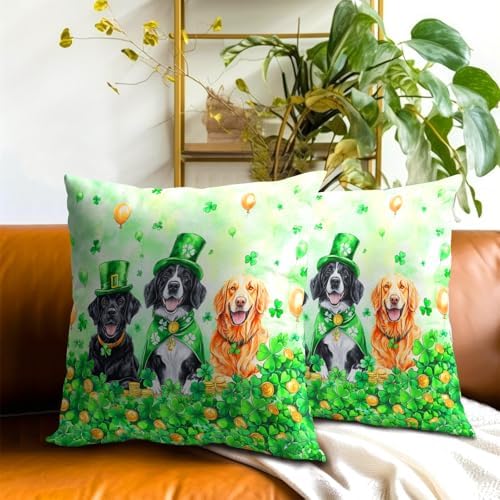 St. Patrick's Day Pillow Covers 2 Pack 24x24 inch Leprechaun Hat Dog Cotton Pillowcase Shamrock and Gold Coin Happy Holiday Throw Pillow Cases Irish Green Decorative Cushion Covers for Sofa Couch