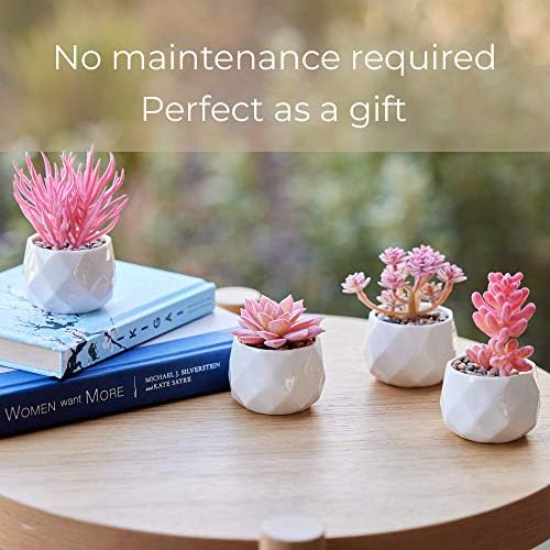 Nordik Set of 4 Desk Plants - Office Decor for Women Desk, Indoor, Living Room, Bedroom, Home and Desk Decor – Pink Faux Succulents in white Geometric Ceramic Planters