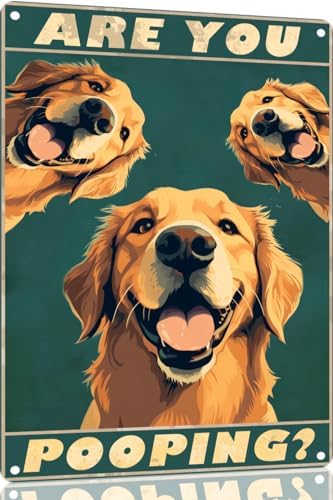Metal Sign Golden Retriever Are You Pooping Sign Vintage Funny Sign Retro Aluminum Tin Signs for Home Farm Garden Bar Bathroom Kitchen 8x12 Inches(169)