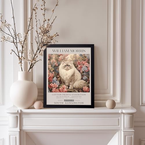 Poster Master Persian Cat Print - Flower Art - Botanical Design - Exhibition Display - Animal Illustration - Floral Painting - Cat Illustration - Aesthetic Office or Bedroom Decor - 11x14 Black Framed
