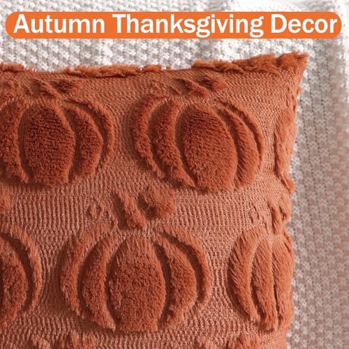 Coddsmz Fall Pumpkin Throw Pillow Covers 18x18 Inches 2PCS Halloween Decor