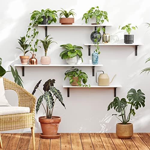 DINZI LVJ Long Wall Shelves, 23.6Inch Wooden Wall Mounted Shelves, Set of 2
