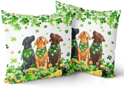 Giwawa Patrick Dogs Pillow Covers Set of 2 20x20inch Lucky Shamrocks Funny Puppy Decorative Square Pillow Cases Spring Clovers Leaf Cotton Throw Cushion Covers for Sofa Couch Patio Bedding