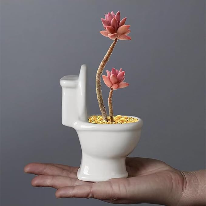Gemseek Cute Ceramic Toilet Bowl Succulent Planter Pot with Drainage Tray