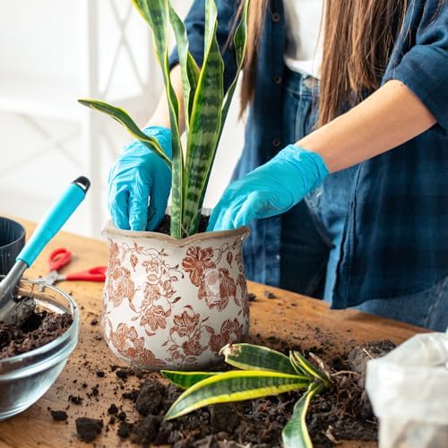Newtay 6 Inch Vintage Ceramic Planters Crackle Glaze,Fresh