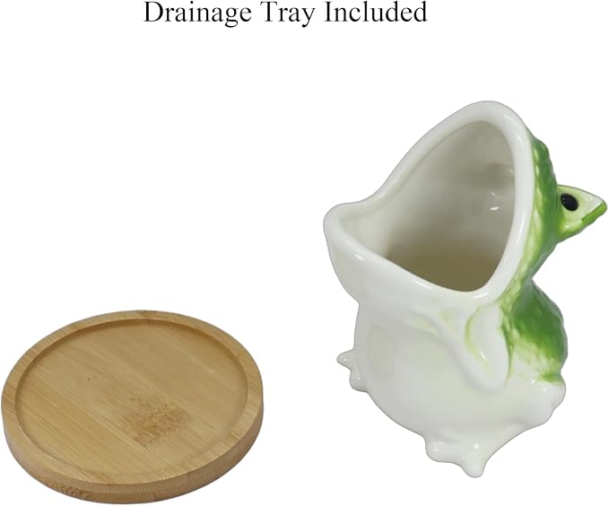 Gemseek Cute Green Ceramic Frog Succulent Planter Pot with Drainage Tray