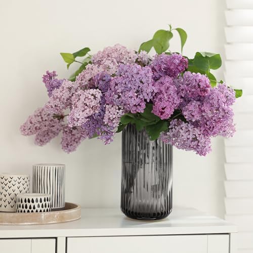 Thick Ribbed Glass Vase for Flowers, 8 Inch Tall Grey Cylinder Vase for Centerpieces, Decorative Modern Flower Vases for Bouquet, Flower Vases for Desk, Shelves, Dining Table, Home Décor