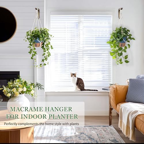 10 Inch Self Watering Hanging Planters for Indoor Plants, 2 Pack