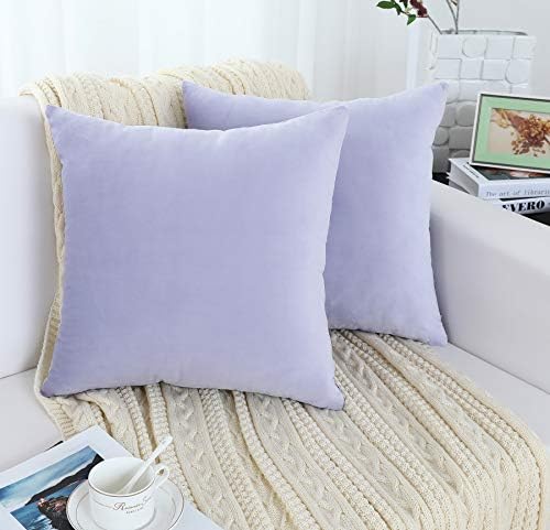 Jeneoo Set of 2 Comfy Soft Velvet Throw Pillow Covers for Sofa Couch, Decorative Solid Square Cushion Cases for Bedroom Car (18 x 18 Inches, Lavender Blue)
