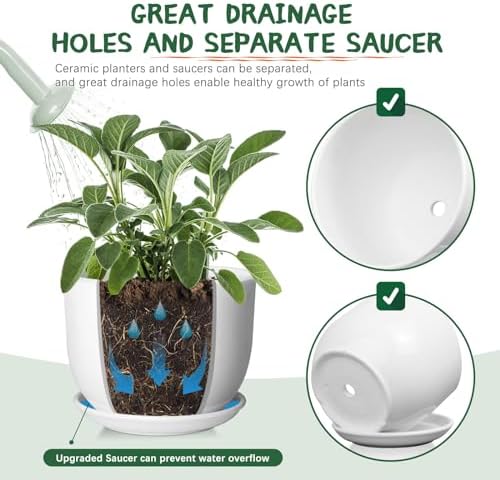 8 Inch Ceramic Planter, Plant Pots with Drainage Hole and Separable Saucer,Indoor-Outdoor Round Succulent Orchid Flower Pot,Indoor pots for Plants(White,Plant Pot only)