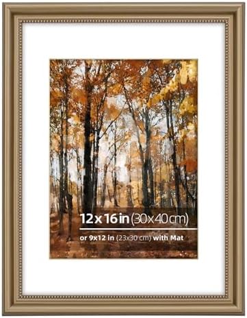 12x16 in 2PK Wood Classic Poster Picture Frame, Ornate Beaded Inner, Matted for 9x12 Photo, Wall Mount Display Vertically or Horizontally, Plexiglass Cover, Champagne Brass