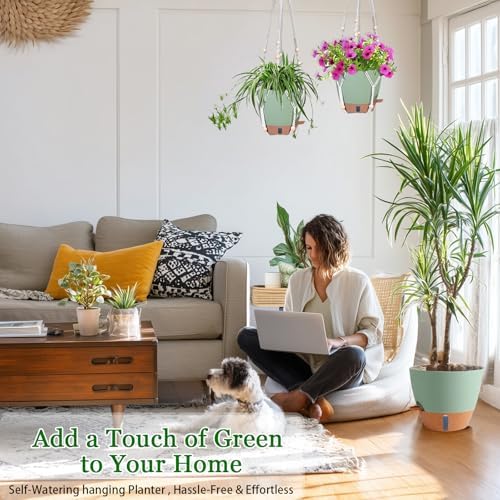 Hanging Planter for Indoor Plants 8 Inch, 2 Pack, Self Watering