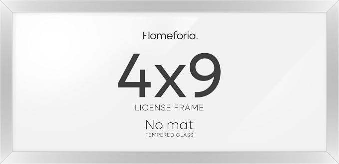 Homeforia 4x9 Silver Business License Frame, High-End Metal, Glass