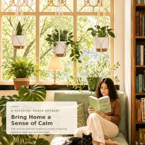 Bouqlife 3 Set Self Watering Hanging Planters for Indoor Plants