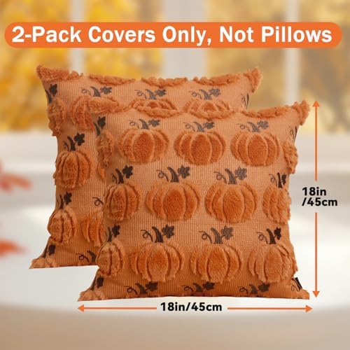Coddsmz Fall Pumpkin Throw Pillow Covers 18x18 Inches 2PCS Halloween Decor