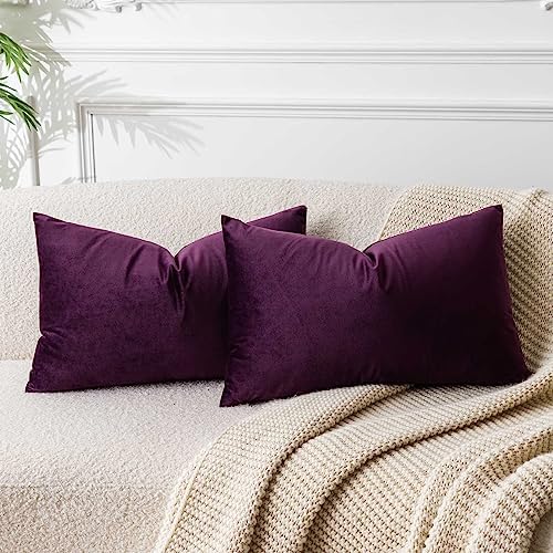JUSPURBET 16x24 Lumbar Velvet Throw Pillow Covers Set of 2,Eggplant Purple