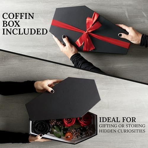 MANNY'S MYSTERIOUS ODDITIES Coffin Shelf Set, Small, Black, 14x7 Inches