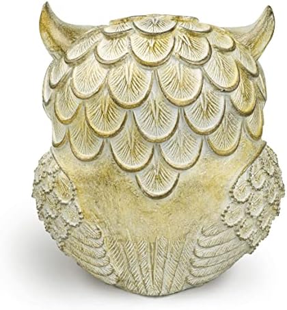 Garwor Retro Owl Statue for Home Decor, 6" Antique White Resin Owl Figurine with Artistic Raised Feathers, Cute Bird Sculpture for Bookshelf Mantle Tabletop Decoration, Gift for Owl Lovers