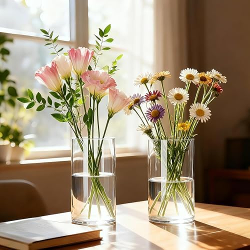 12pcs Thick Glass Cylinder Vase, 6 Inch Clear Glass Flower Vases | Floating Candle Holders for Centerpieces,Cylinder Vases Bulk Weighted Base for Wedding, Home & Dining Table Décor Gift