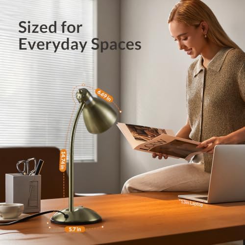 LEPOWER Metal Desk Lamp, Adjustable GooseNeck Reading Light for Bedroom