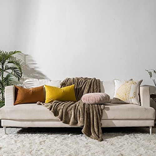 Burnt Orange Soft Lumbar Velvet Throw Pillow Covers 16x24 inch Set of 2 for Sofa Couch Bed Living Room Decorative Luxury Solid Rectangle Cushion Covers Case with Zipper