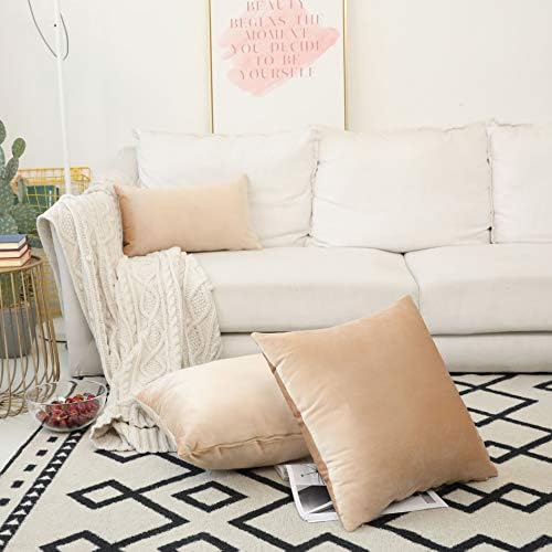 Home Brilliant Rectangle Pillow Cover Cream Throw Pillows for Couch Velvet Decorative Pillow Covers for Living Room Sofa Bed, Set of 2, 12 x 20 Inch (30x50cm), Beige