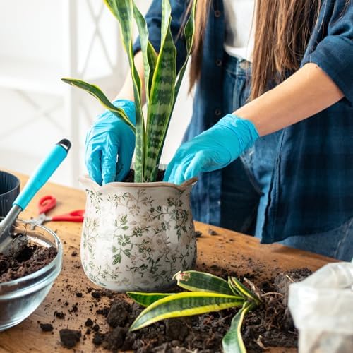 Newtay 6 Inch Vintage Ceramic Planters Crackle Glaze,Plain