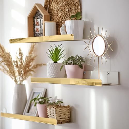 2 Packs 24 inches Gold Acrylic Shelves,Book Shelf for wall