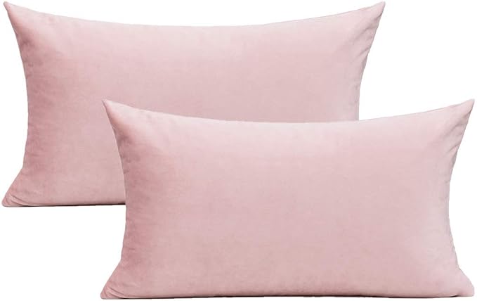 VAKADO Pink Lumbar Velvet Soft Solid Throw Pillow Cases Decorative Rectangle Cozy Cushion Covers Home Decor for Living Room Couch Sofa Car 12"x20" Set of 2