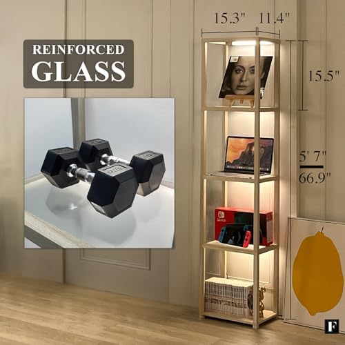 FENLO LED Display Shelf Unit – Dimmable Lighted Furniture for Bedroom, Living Room, or Office – Glass Curio Cabinet Shelf Lamp with App + Remote Control + Adjustable Lighting