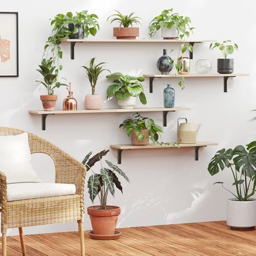 DINZI LVJ Long Wall Shelves, 31.5Inch Wooden Wall Mounted Shelves, Set of 2