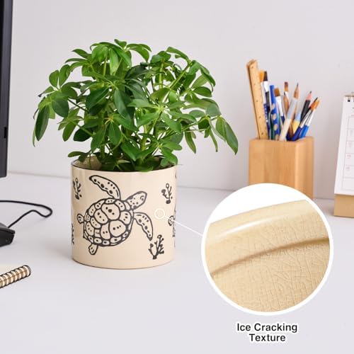 STHIE 5 Inch Ceramic Plant Pots for Indoor Plant with Drainage, Sea Turtle