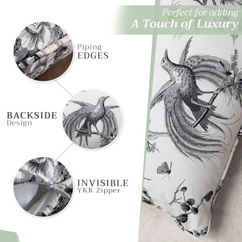 Maison d' Hermine Throw Pillow Covers 100% Cotton (20" x 20" - Pack of 1)