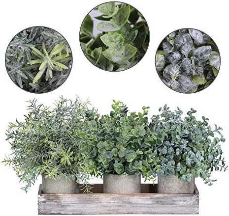 Winlyn Set of 3 Mini Potted Artificial Eucalyptus Plants Faux Rosemary Plant Assortment with Wood Planter Box for Indoor Office Desk Apartment Wedding Tabletop Greenery Decorations 8.7" Tall
