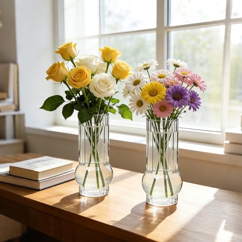 6.5Inch Drinking Glasses for Home Decor,12pcs Fluted Glass Vase Set | Ribbed Cylinder Glass Vases for Wedding Centerpiece, Modern Clear Glass Glass Tumbler Set for Living Room, Dining & Event