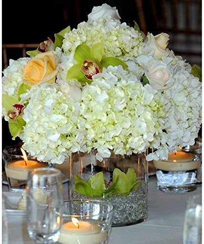 WGV Cylinder Vase Bulk, Diameter 5", Height 5", Clear Glass Floral Planter Container, Floating Candle Holder for Wedding Party Event Home Office Decor, 12 Pieces