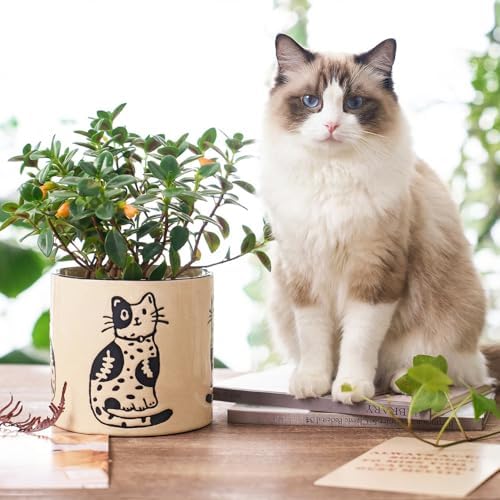 STHIE 5 Inch Ceramic Plant Pot with Drainage, Cute Planter for Indoor Plant