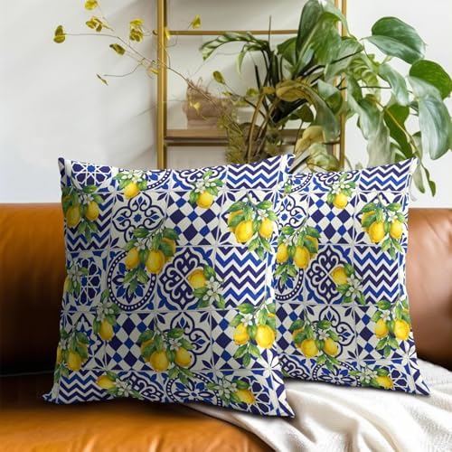 Lemon Mexican Tilt Pillow Covers 16x16 Inch Set of 2 Lemon Decor Italian Gifts Throw Pillow Cases Spring Summer Party Holiday Decorative Cushion Covers for Couch Bed Sofa Home Decor