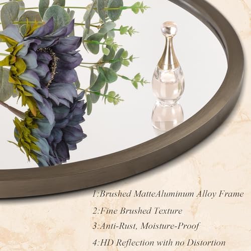 AOAOPQ Wall Mirror Modern Aluminum Tempered Glass Framed Bathroom Mirror for Wall Modernist Style Anti-Rust Hanging Bathroom Vanity 20 Inch Caffe