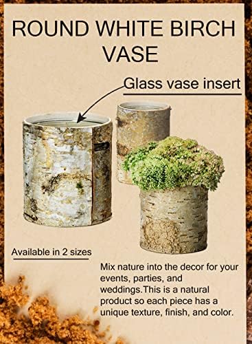 Serene Spaces Living Large White Birch Bark Vase with Glass Interior, Decorative Centerpiece, Rustic Accent Piece, Ideal for Natural Wedding Tablescape, Vintage Home Decor, 4.5" Diameter & 6.5" Tall