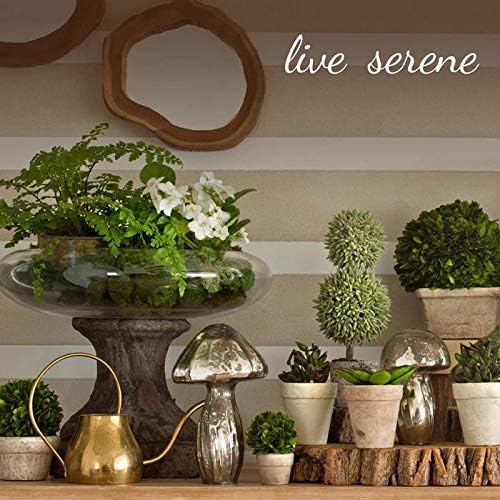 Serene Spaces Living Large White Birch Bark Vase with Glass Interior, Decorative Centerpiece, Rustic Accent Piece, Ideal for Natural Wedding Tablescape, Vintage Home Decor, 4.5" Diameter & 6.5" Tall