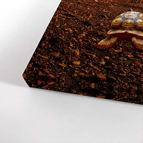 Smile Art Design Forward Inspiring Turtle and Mountain View Motivational Wall Art Canvas Print Inspirational Wall Art Entrepreneur Quote Office Living Room Decor Artwork Gift Ready to Hang 22x15