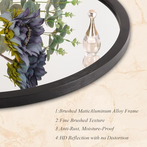 AOAOPQ Mirror for Wall Large Round Bathroom Entryway Living Room Hallway Bedroom 24 inch Black Matte Frame Mirrors Anti-Rust Hang